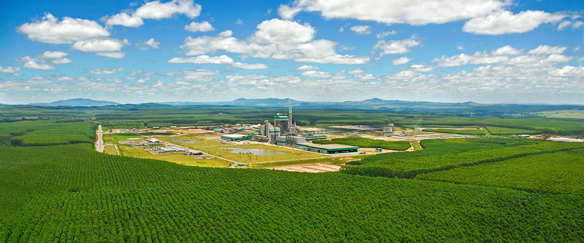 Veracel joint-venture in Brazil