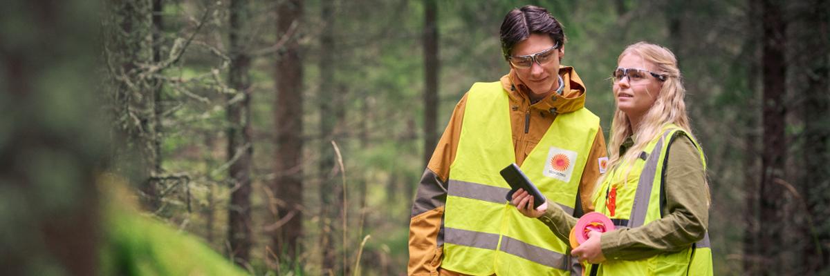 Personnel dans la forêt