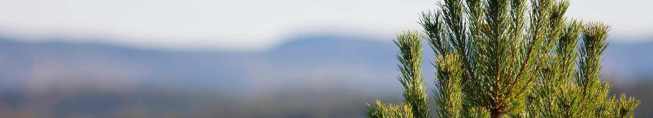 COP15-podcast-2200x400