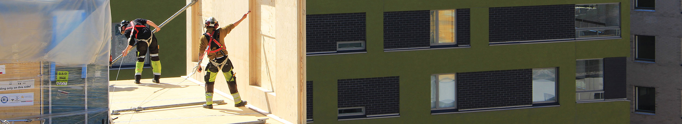 Builders on a wooden building site