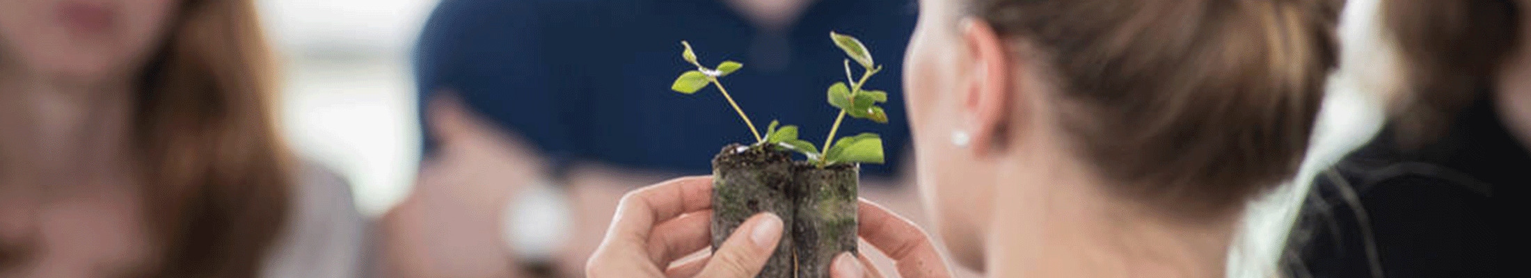 plant in hand