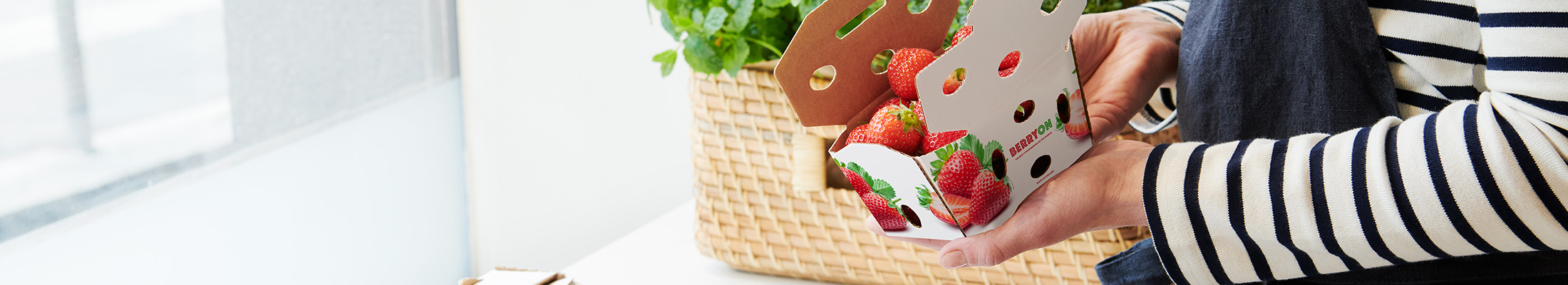 Containerboard box berries
