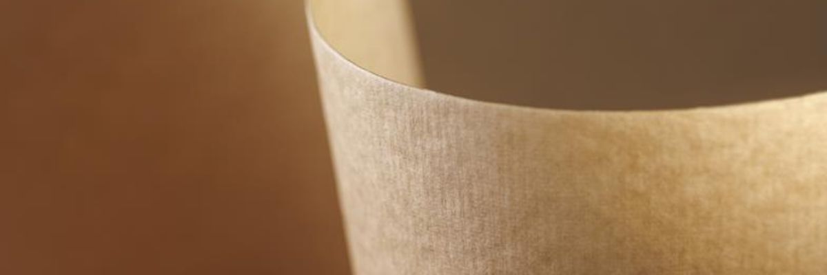 Unbleached kraft pulp Nova E