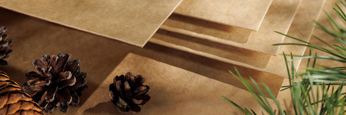 UKP Nova F sheets with pinecones 