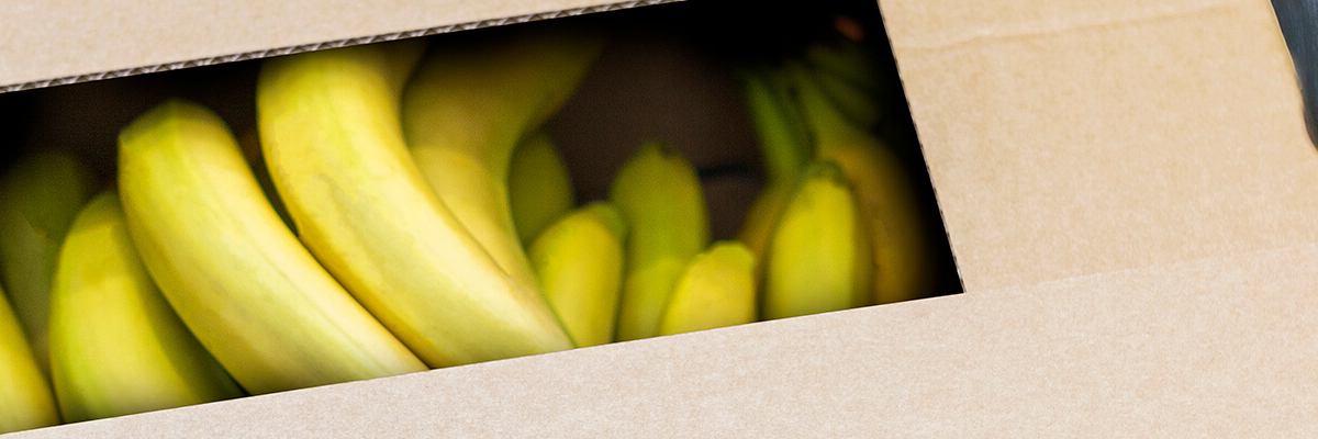AvantFlute SC Banana box