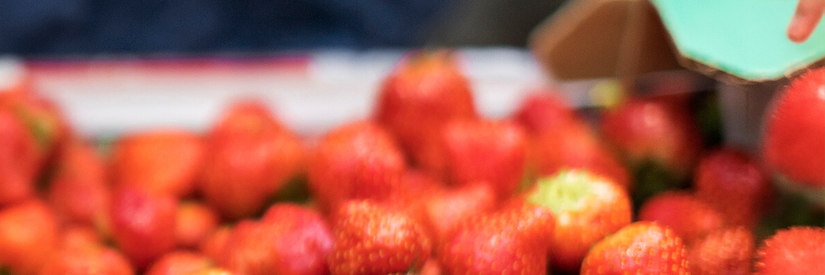 Strawberries in AvantKraft WhiteTop