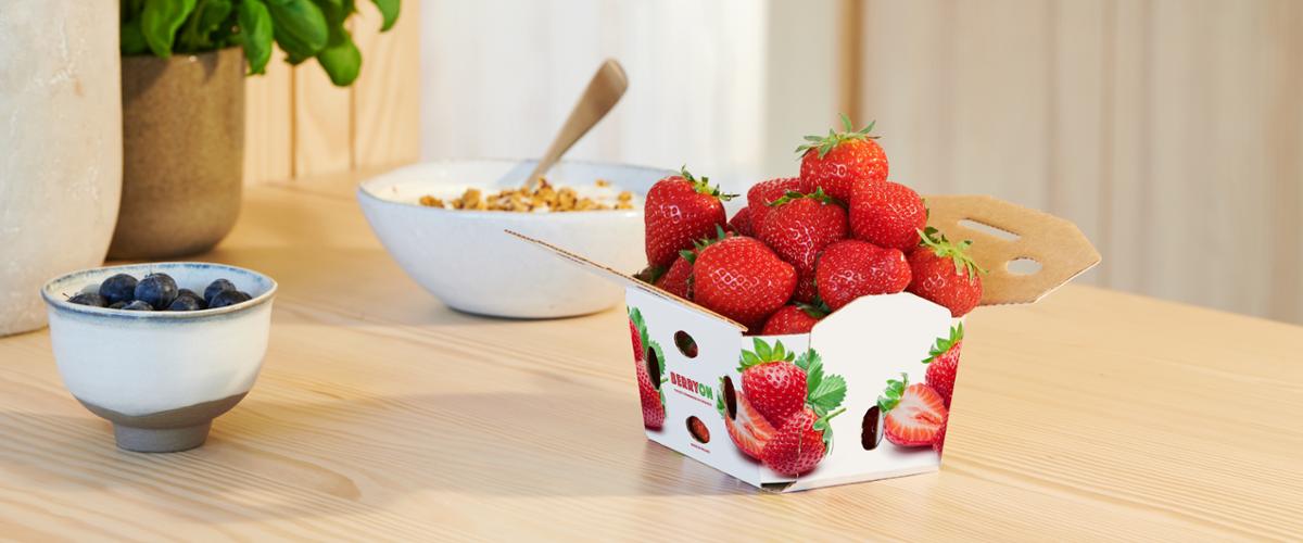 Whte top containerboard