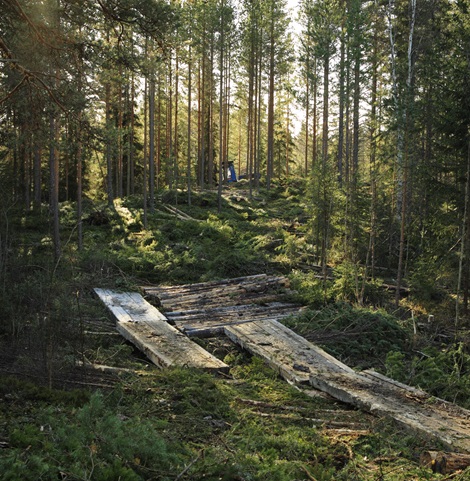 Bridge to protect forest soil and water