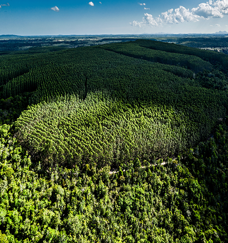 Veracel protected areas