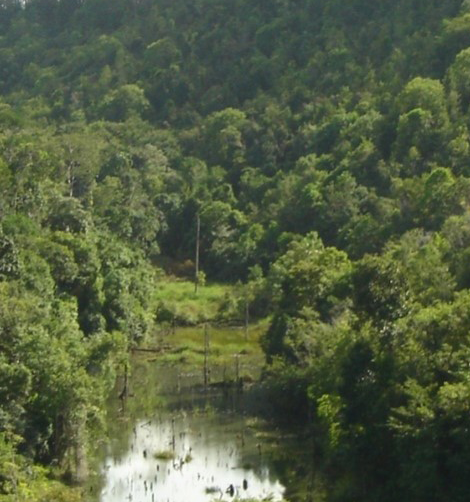 Veracel water quality