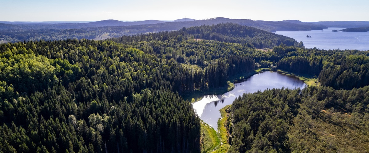 Aerial shot of forest and lakes